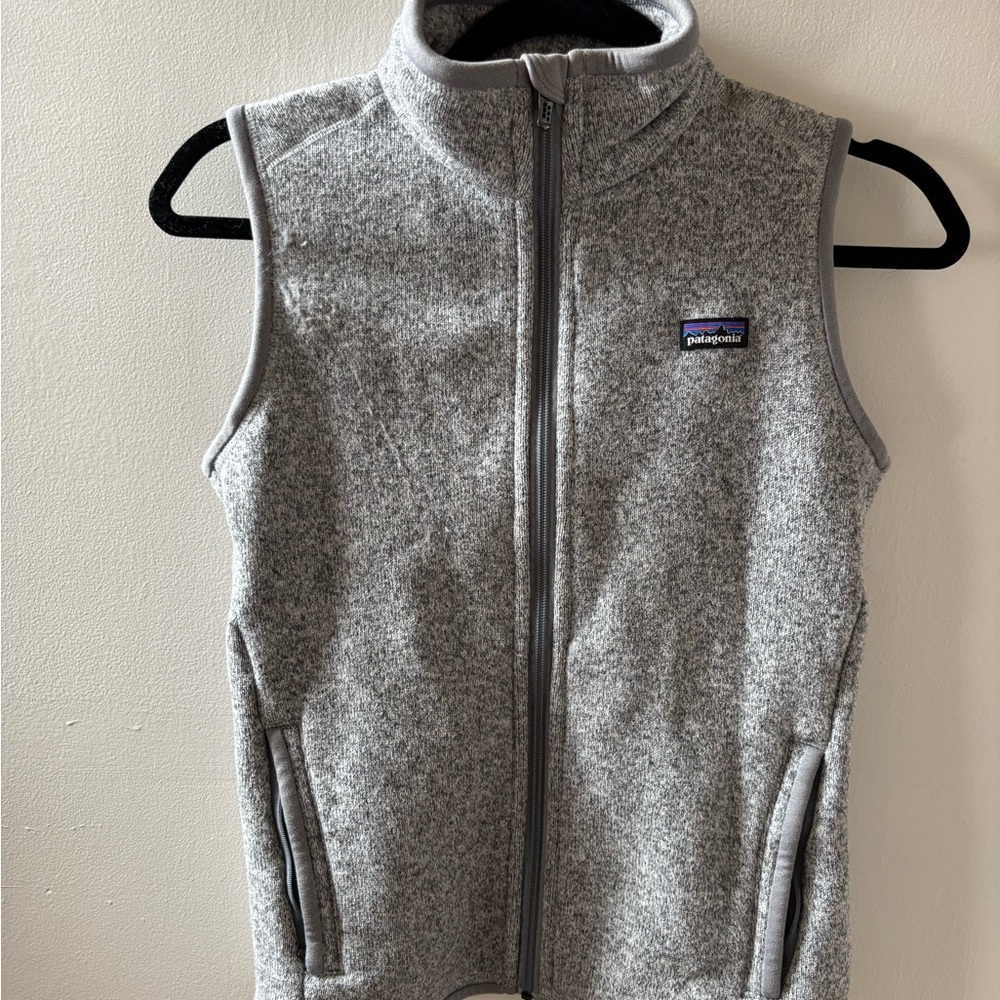 Patagonia Gray Fleece Vest